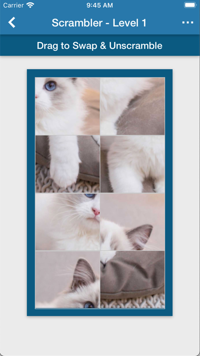 Brainematics - Brains in Math