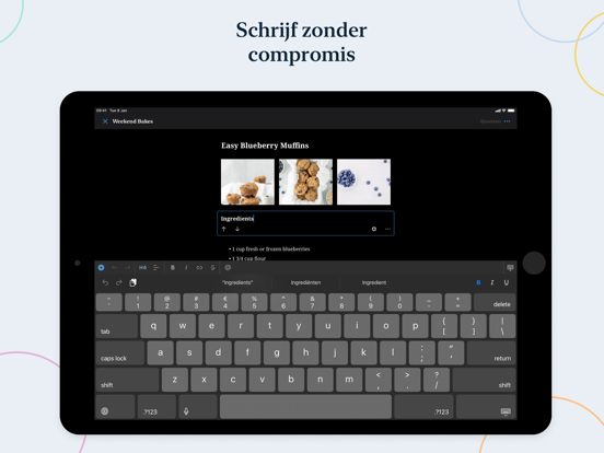 WordPress – Sitebouwer iPad app afbeelding 7