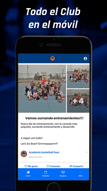 Academia Basketball Bear