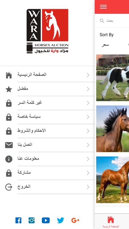 Wara Hourses auction