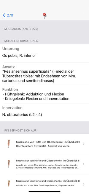 PROMETHEUS - LernKarten Screenshot