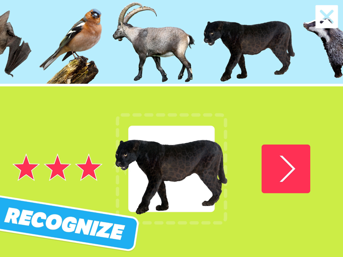 Animal Sounds Photos and Info