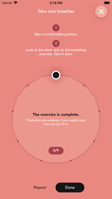 MindSummit Screenshot