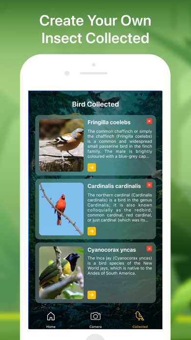 Bird identifier Bird Finderのおすすめ画像3