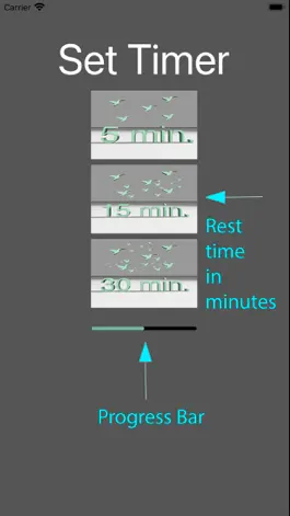 Game screenshot Nature Timer mod apk