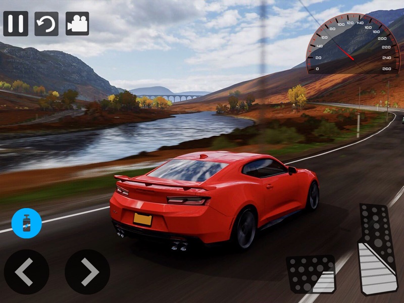 Juegos de Carreras Sim 21 screenshot 5