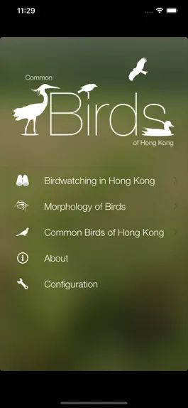 Game screenshot HKcBirds: Common Birds of HK apk