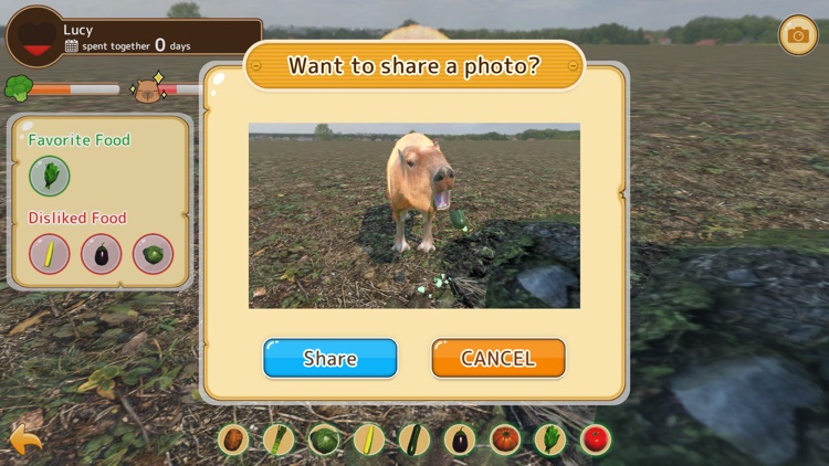 Capybara Spa screenshot-4