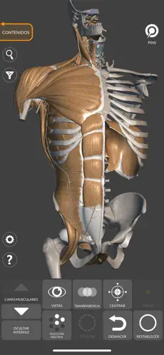 Captura de Pantalla 1 Anatomía 3D para el artista 2 iphone