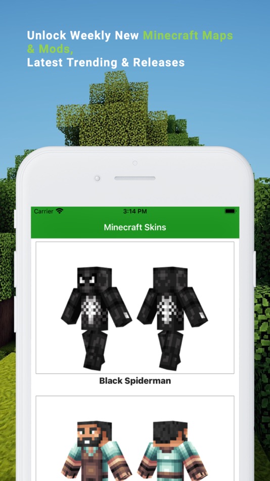#4. Addons for Minecraft PE - Skin (iOS) 由: AMAMINE APPS