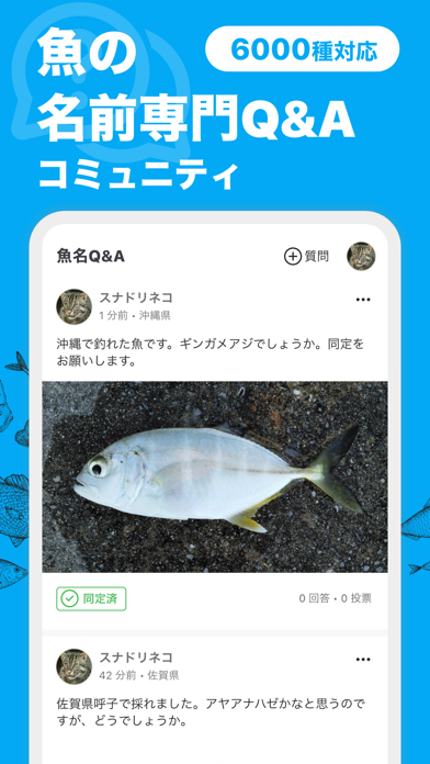 魚みっけのおすすめ画像2