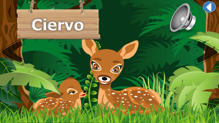 Discover Spanish for kids