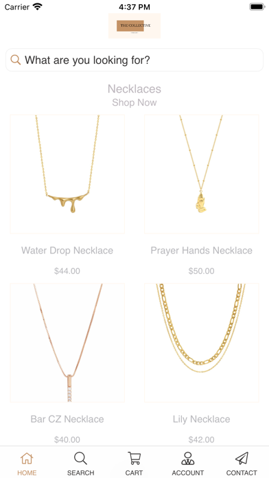 The Collective Jewelry Screenshot