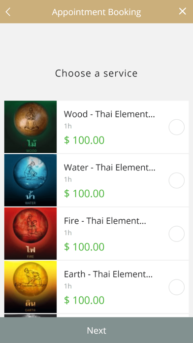 Five Elements Therapy Screenshot