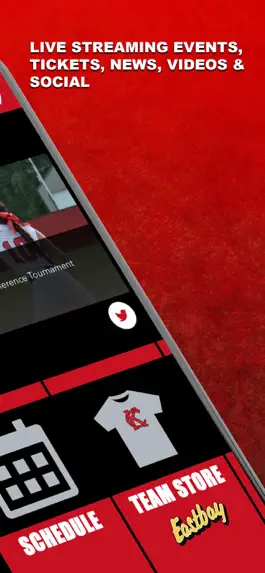Game screenshot Keys Cougars apk