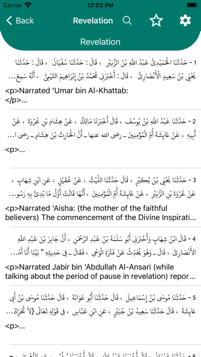 Hadith Collection Pro Screenshot