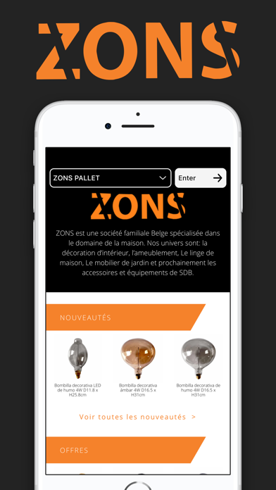 Zons v2 Screenshot