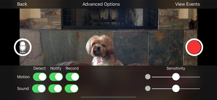 iCam Pro - Webcam Streaming