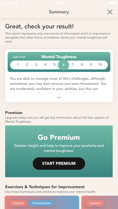 MindSummit Screenshot