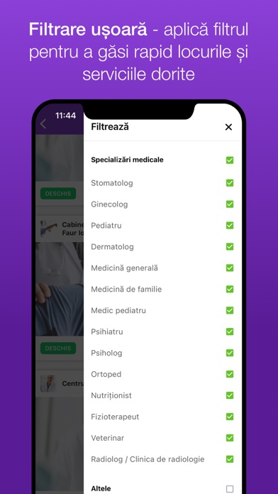 Timișoara City Screenshot