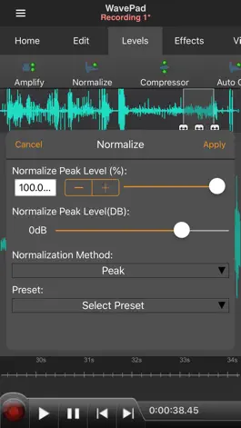 Game screenshot WavePad Master's Edition apk