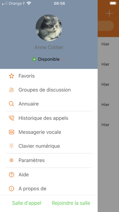 Screenshot #1 pour Teaming Communications