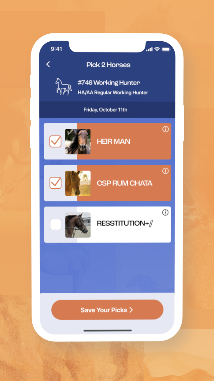 FanStable Fantasy Horse Shows