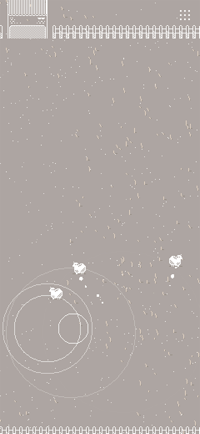 Shepherd lead sheep to goal