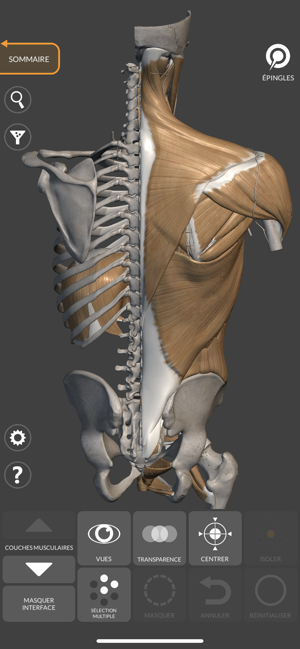 ‎Anatomie 3D pour l'Artiste Capture d'écran