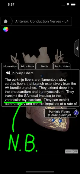 Game screenshot Heart Pro III - iPhone hack