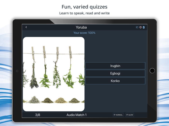Bluebird Learn Yoruba