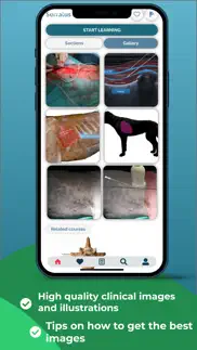 nysora vet app problems & solutions and troubleshooting guide - 1