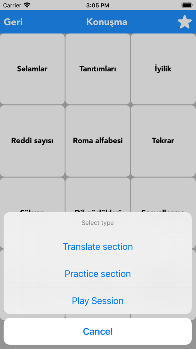 Turkish to English Translator Screenshot