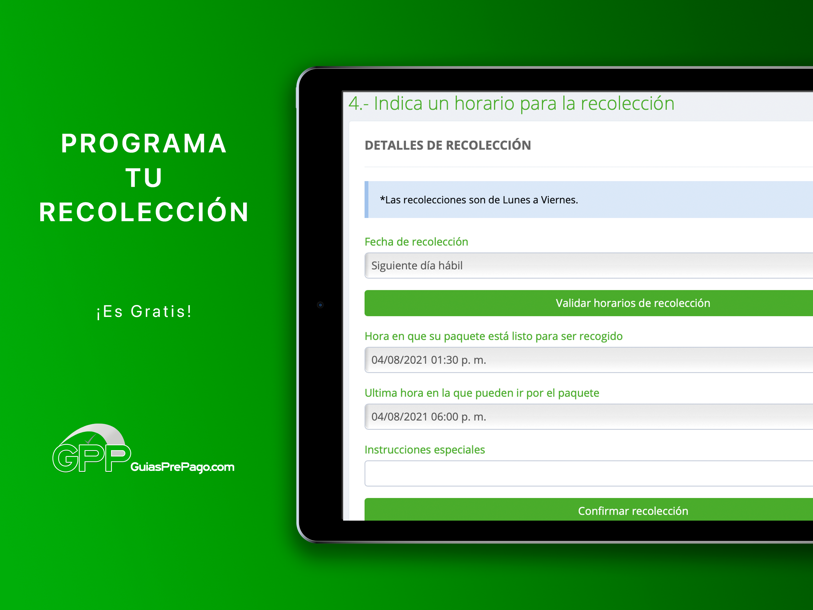 GUIAS PREPAGO