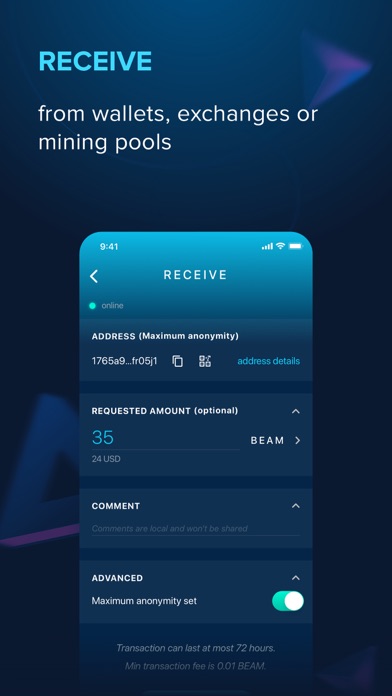 Beam Privacy Wallet Screenshot