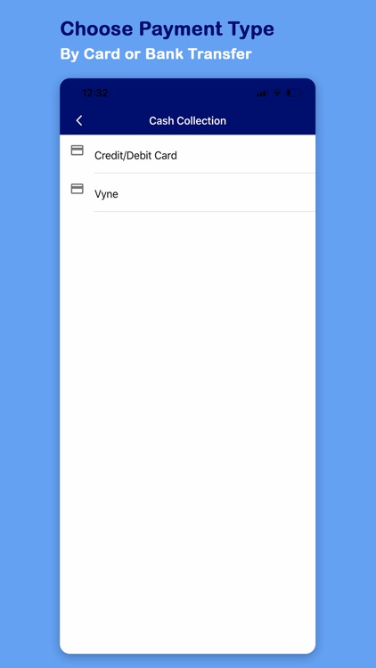 Lava e-remit screenshot-4