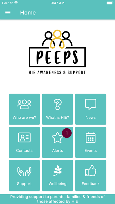 PEEPS HIE Screenshot