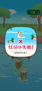 アヒルかも？ - Duck or Duck - screenshot #3 for iPhone