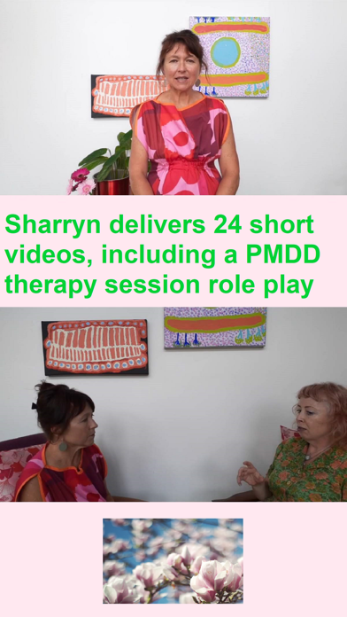 PMDD Treatment Screenshot