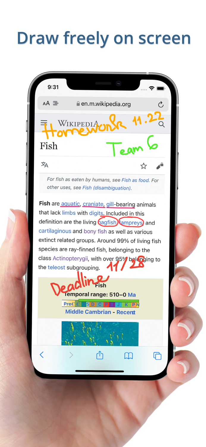 Quick Draw - Draw On Web Pages