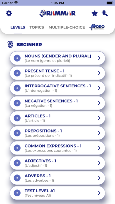 FRENCH GRAMMAR・Lessons & Tests Screenshot