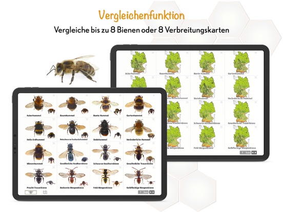 Wildbienen Id BienABestのおすすめ画像7