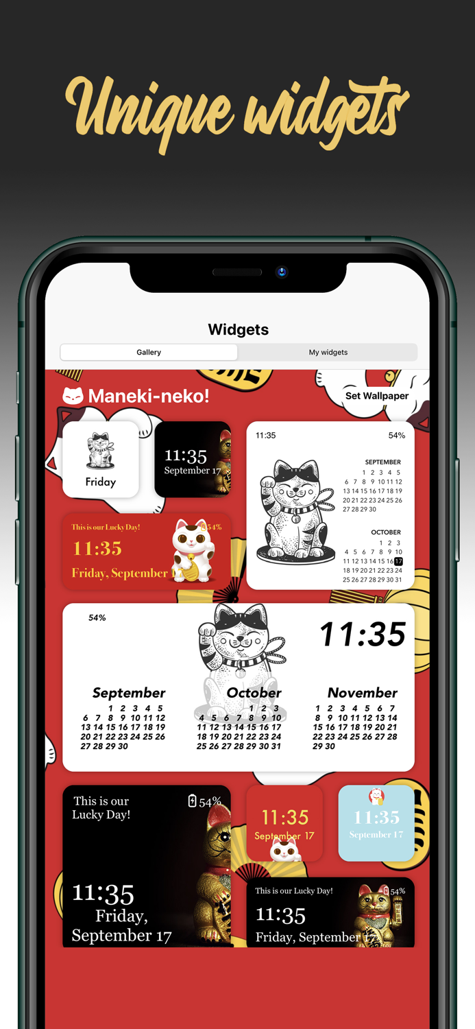 Live Widgets for iPad