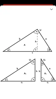 solve right triangle iphone screenshot 2