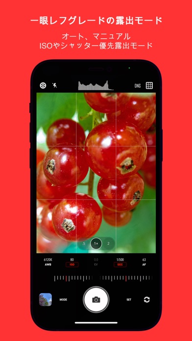 CameraPixels PROのおすすめ画像3