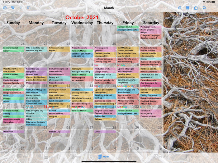 Perspectiva Calendars Charts