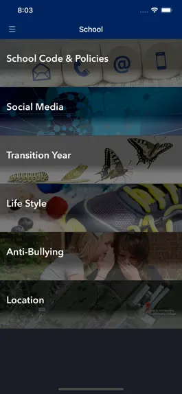 Game screenshot Meanscoil Iognaid Ris(Naas) mod apk