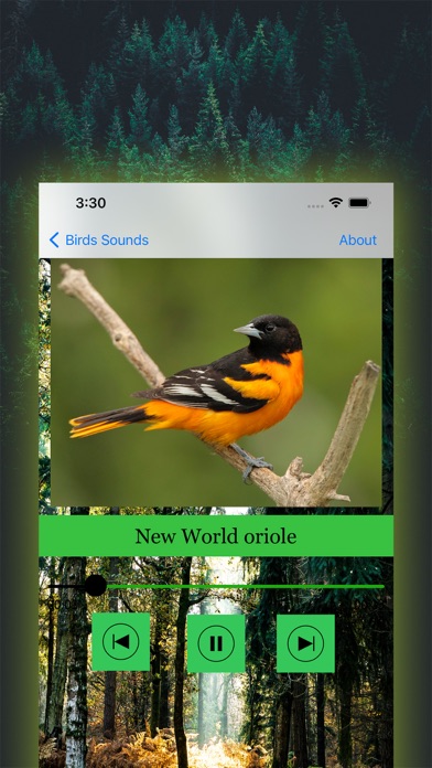 100 Bird Sounds Screenshot