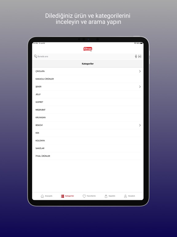 Screenshot #4 pour Elvan Online