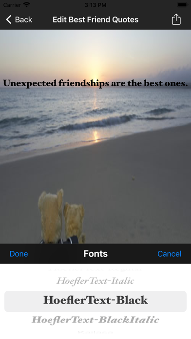 Best Friend Quotes Screenshot